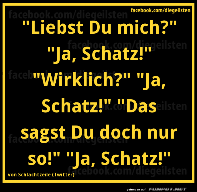 diegeilsten ja Schatz diegeilsten ja Schatz