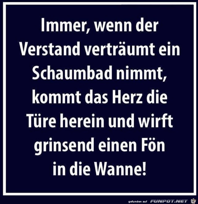 verstand verstand