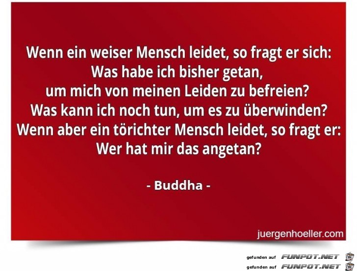 Wer Wer
