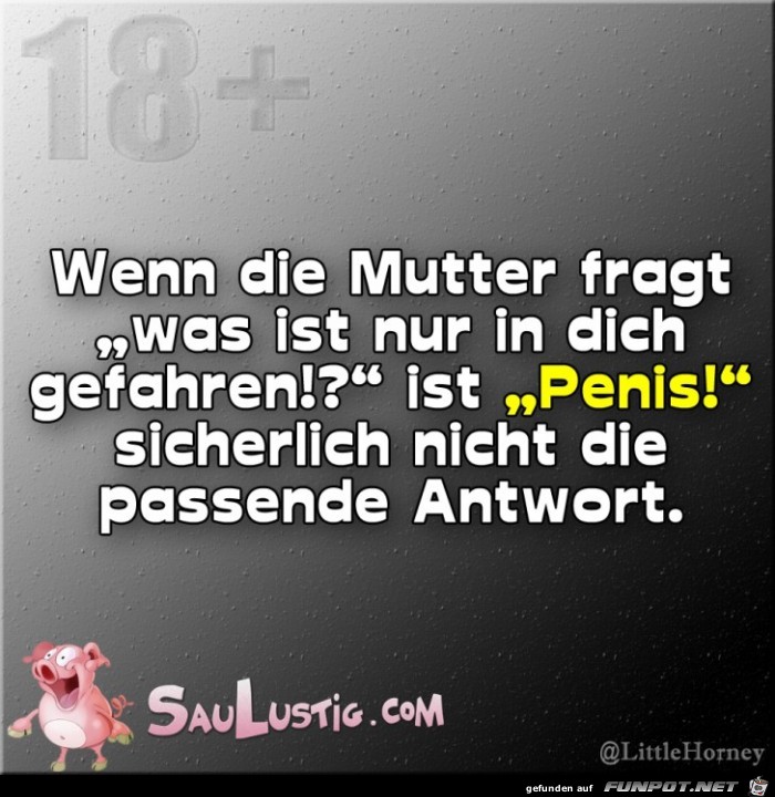 Was-ist-nur-in-Dich-gefahren