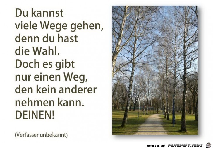 viele wege viele wege