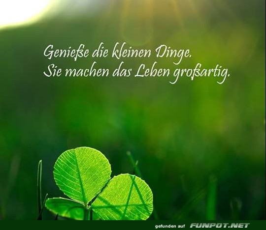 10 sch�ne Spr�che und Lebensweisheiten aus...