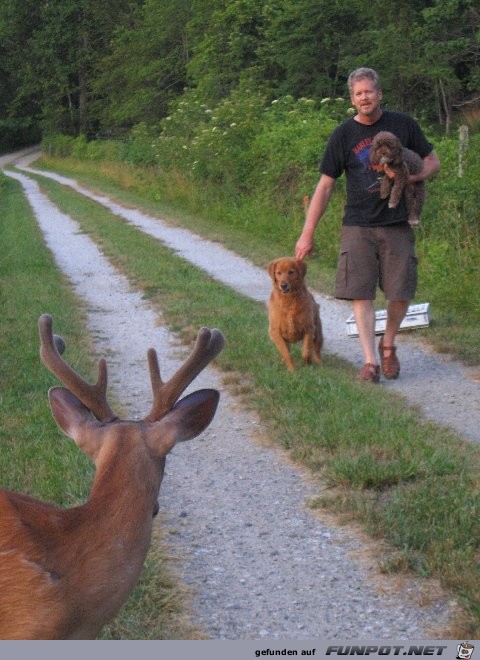 Selten und Wunderbar!