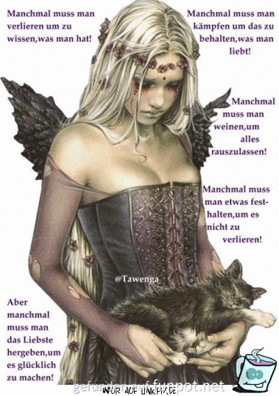 manchmal muss man verlieren manchmal muss man verlieren