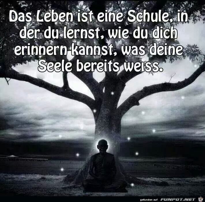 Leben ist eine Schule Leben ist eine Schule