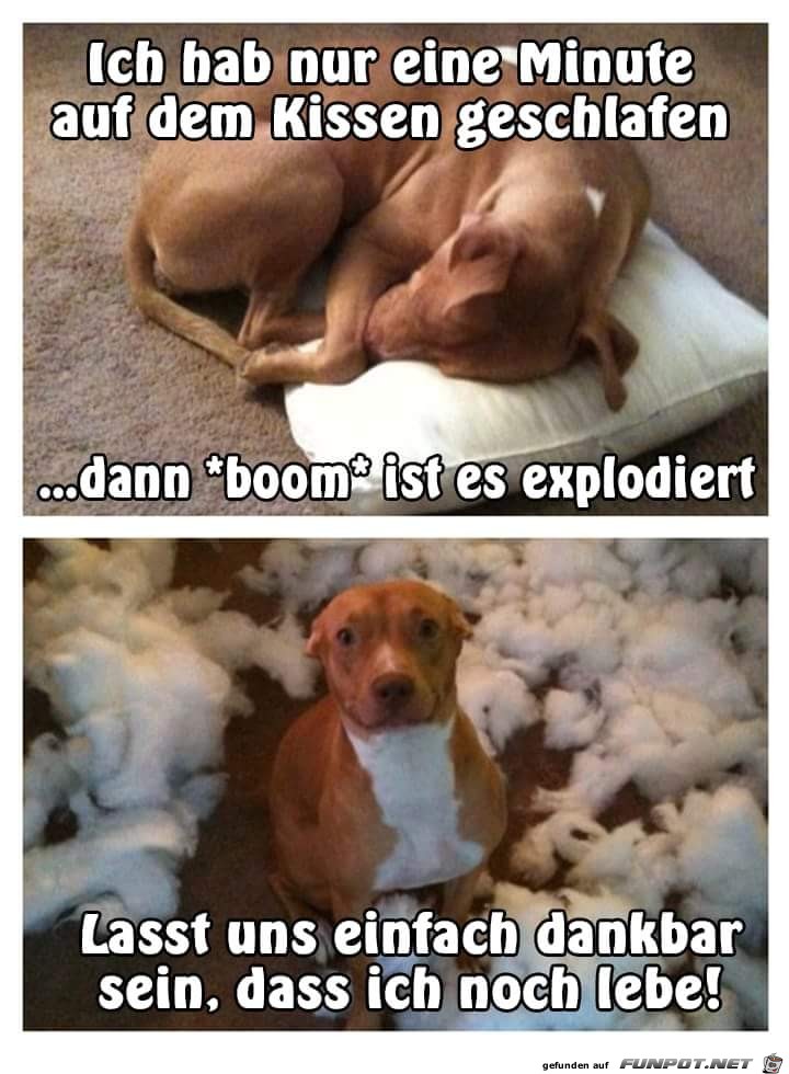 explodiert explodiert