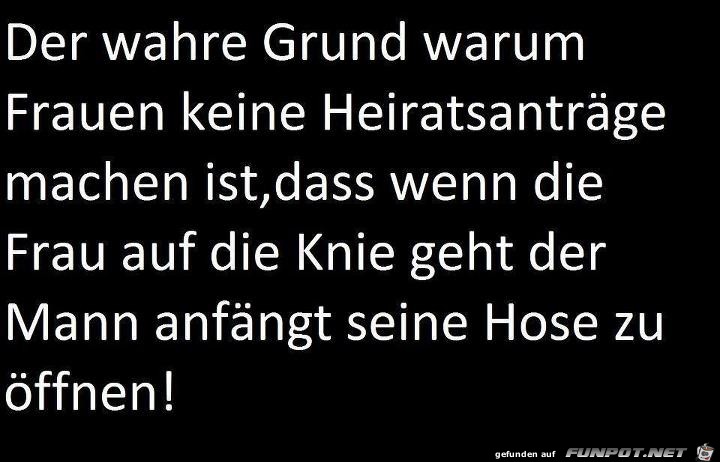 Der wahre Grund Der wahre Grund
