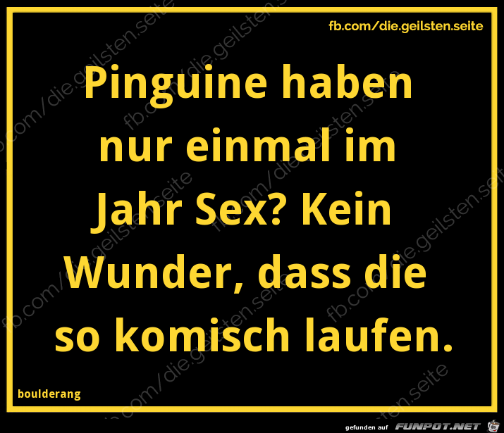 diegeilsten Pinguine