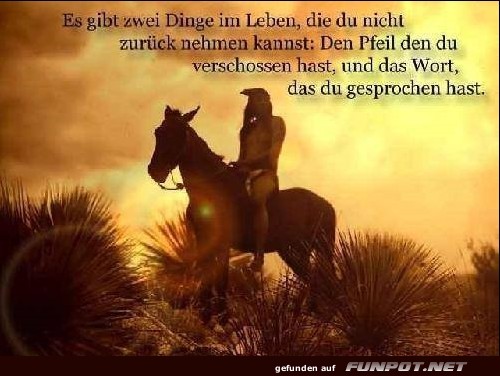 10 sch�ne Spr�che und Lebensweisheiten aus...