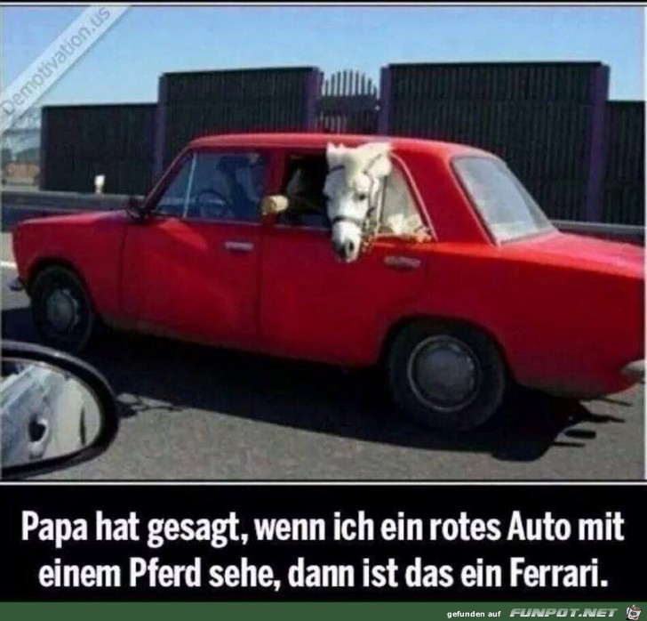 Papa hat gesagt