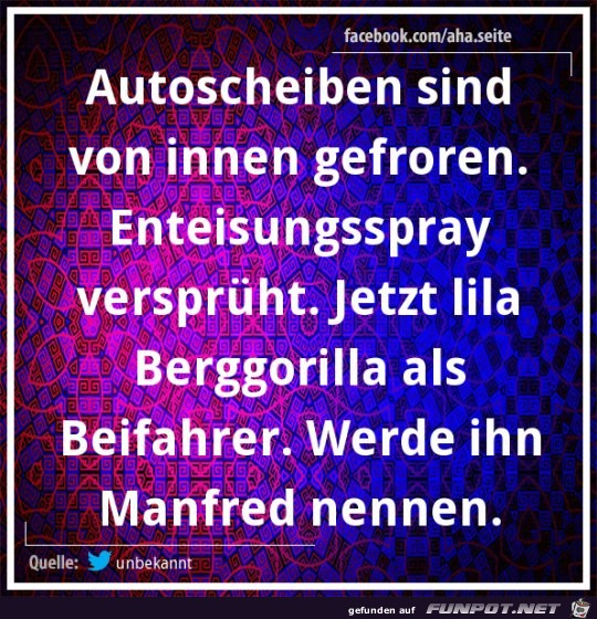 Enteisungsspray Enteisungsspray