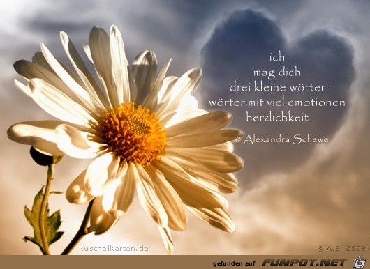 ich mag dich ich mag dich
