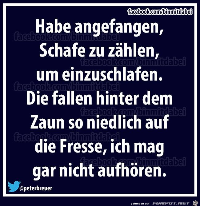 Schafe Schafe