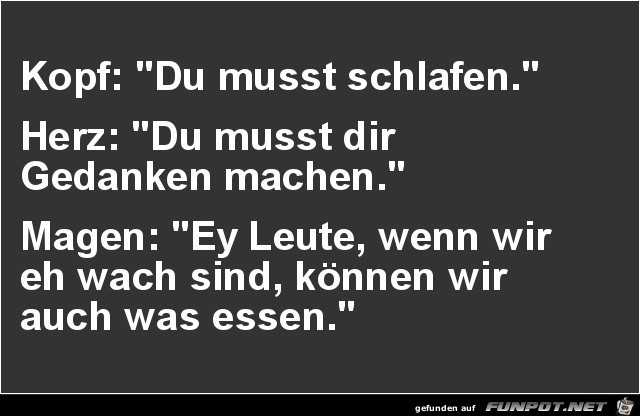 Kopf Herz Magen Kopf Herz Magen