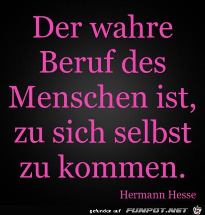 der wahre beruf der wahre beruf