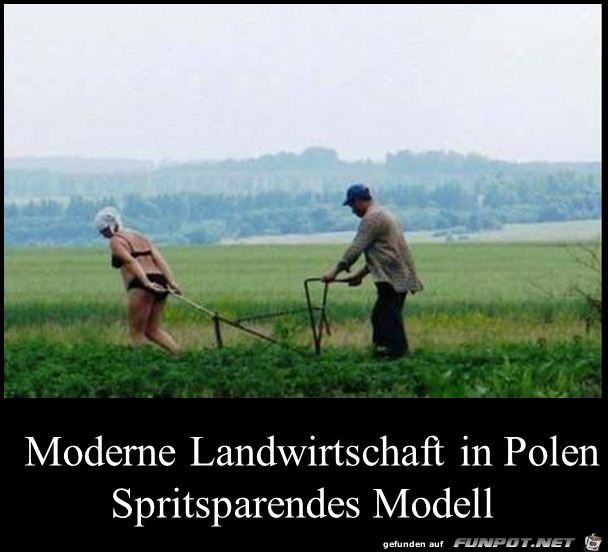 moderne Landwirtschaft