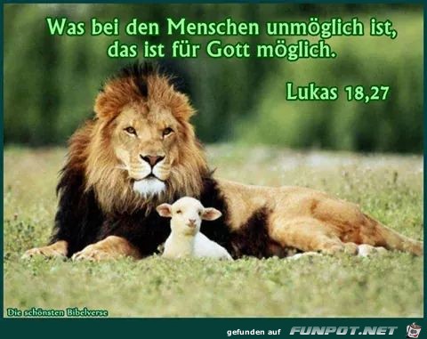 Lukas 18 27 Lukas 18 27