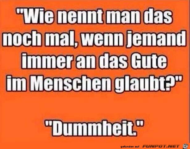 dummheit