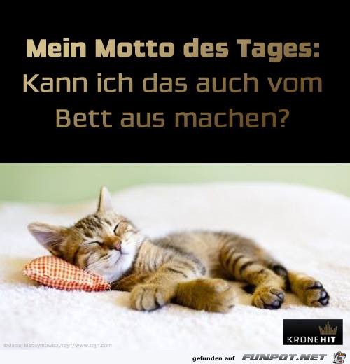 Mein Motto des Tages Mein Motto des Tages