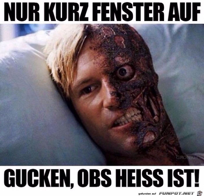 Nur kurz Fenster auf