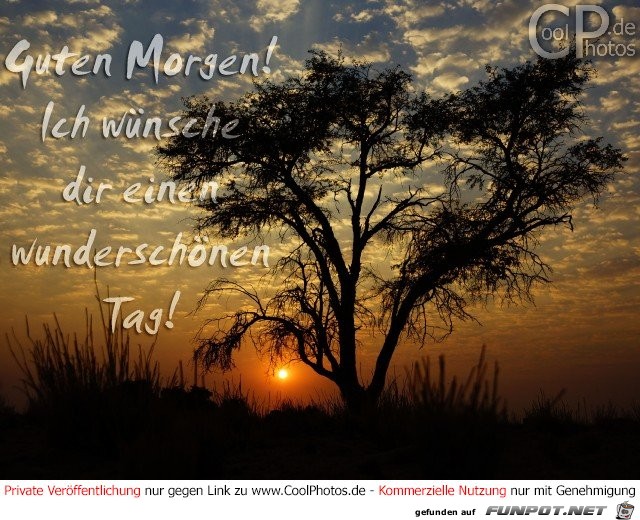 Guten Morgen- 