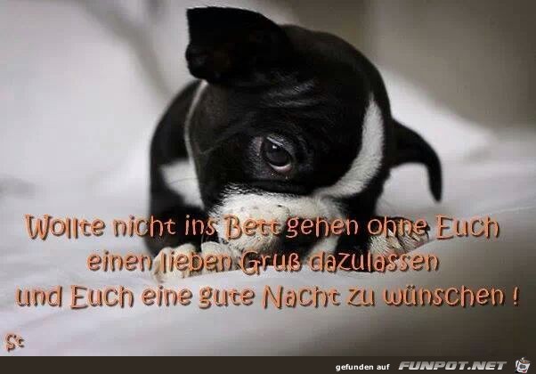Gute Nacht Gute Nacht
