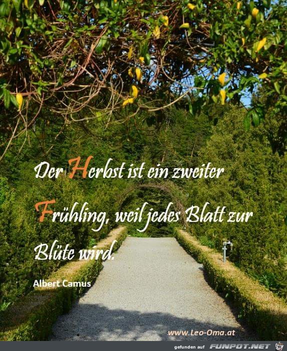 der Herbst der Herbst