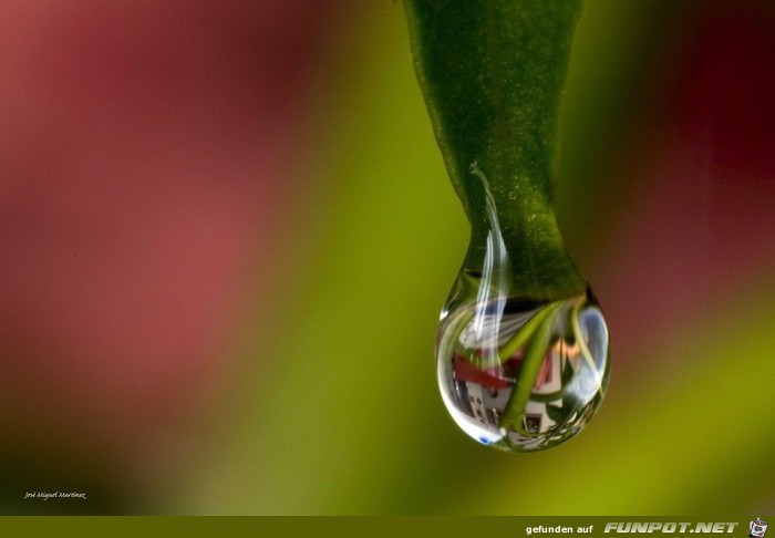 Wow-Bilder! Anschauen und genieen!