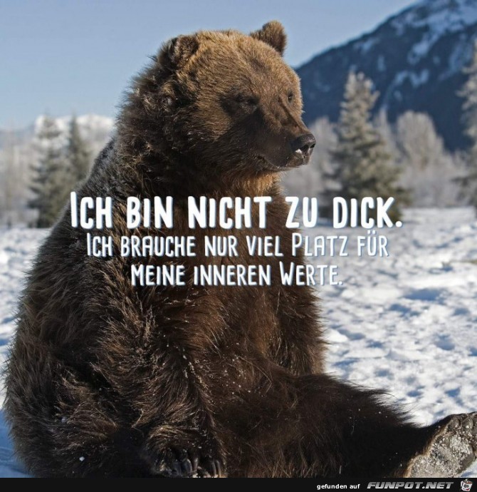 nicht zu dick