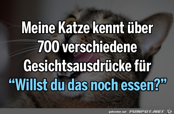 klasse Sprche und Witze!