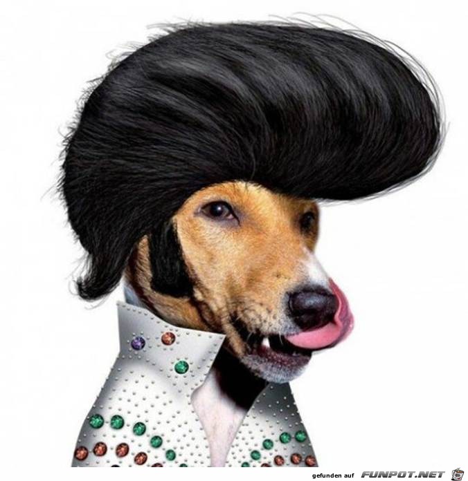 Elvis Presley Elvis Presley