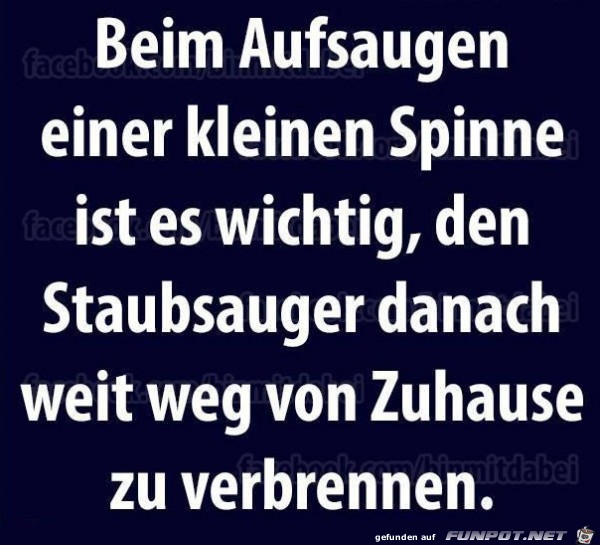 wenn-du wenn-du
