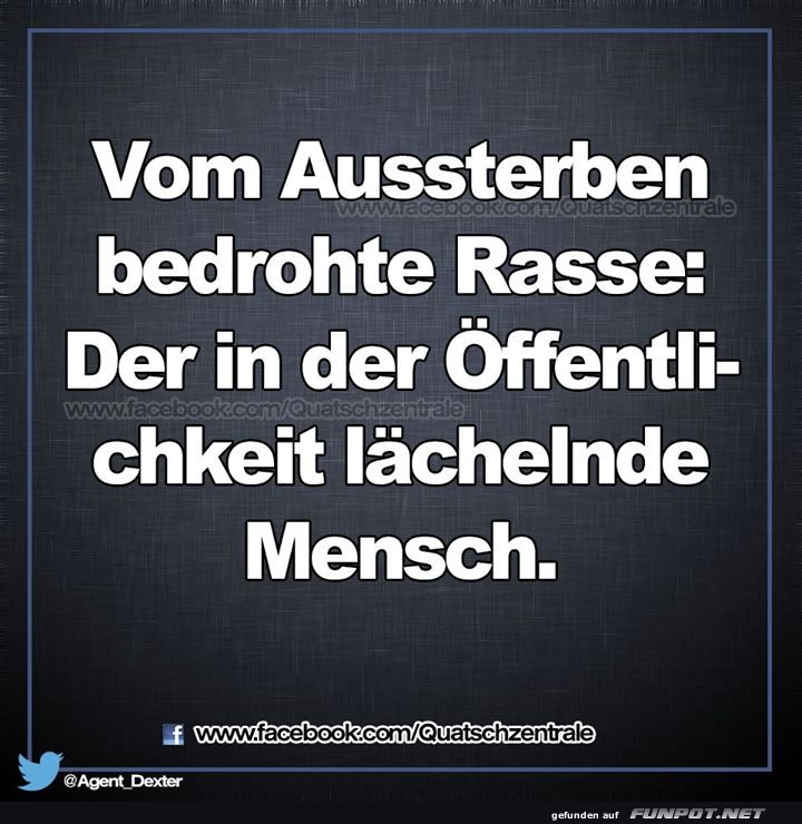 Aussterben Aussterben