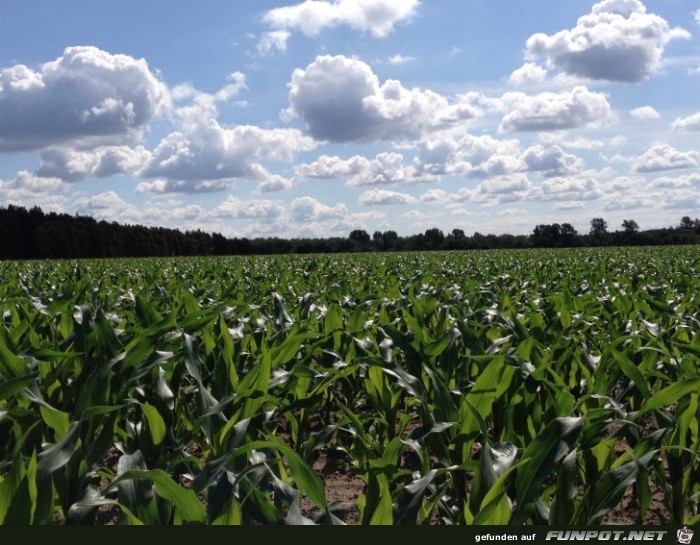 fuer Bildgenerator freigegeben 002080