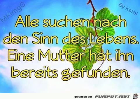 Alle suchen