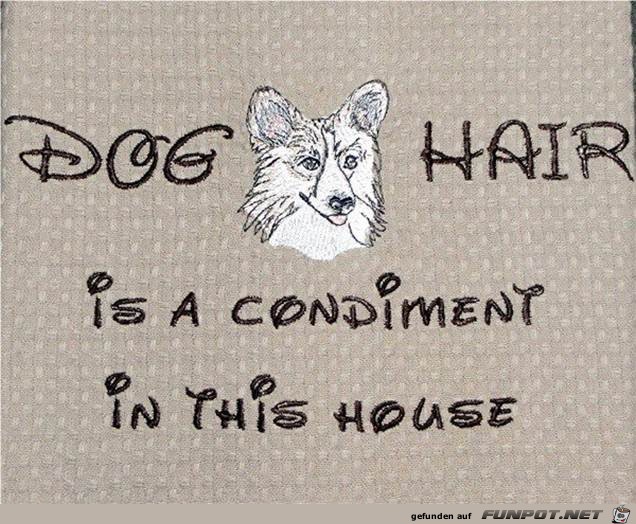 Dogs 8 Dogs 8