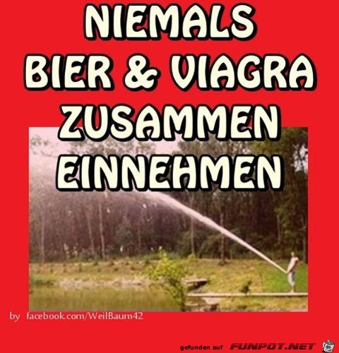 witzige Bilder aus verschiedenen Blogs