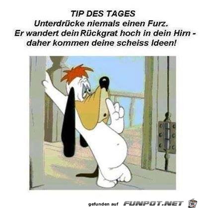 Tip des Tages Tip des Tages