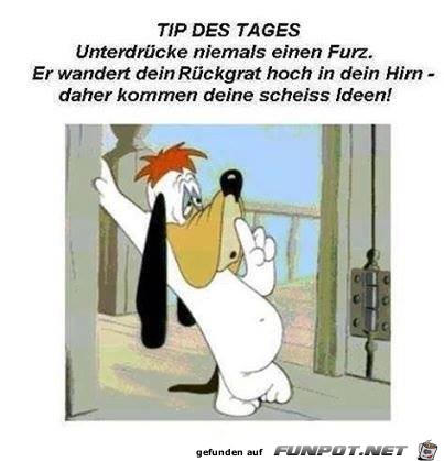 Tip des Tages