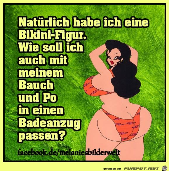 Natuerlich habe ich eine Bikini - Figur