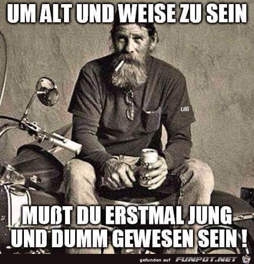 um alt und weise zu sein... um alt und weise zu sein...