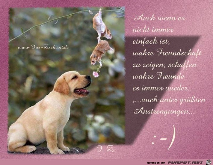 nicht einfach nicht einfach