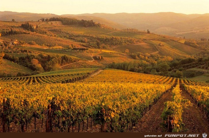 Die schoensten Wein-Gegenden der Welt 44 Die schoensten Wein-Gegenden der Welt 44