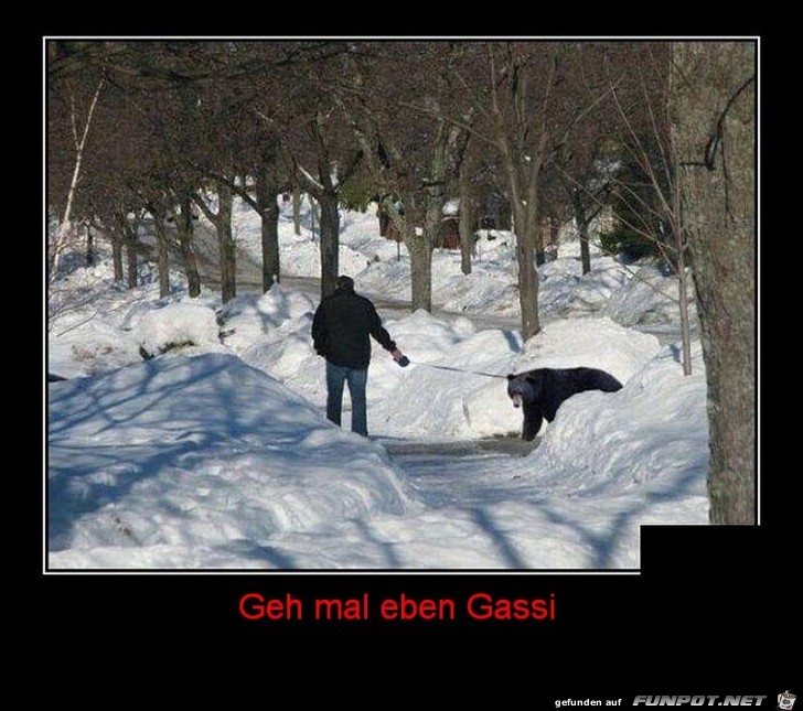 Gassi gehen Gassi gehen
