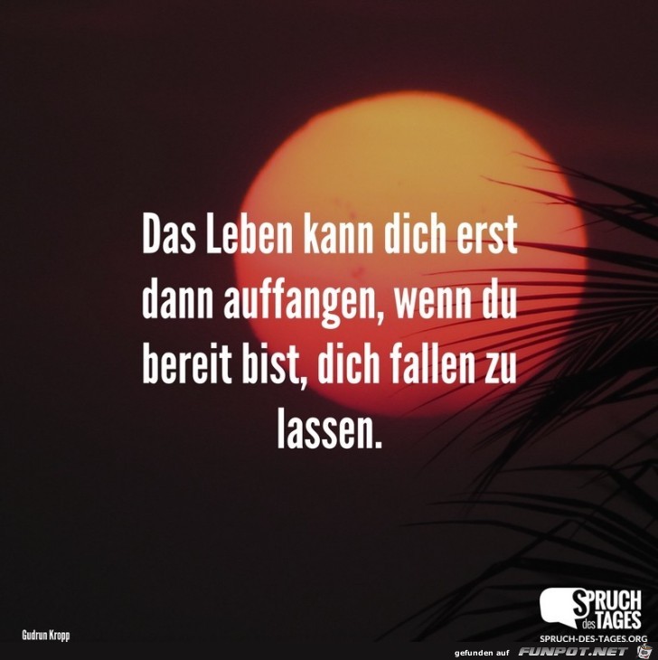 das-leben-kann-dich-erst-dann-auffangen- das-leben-kann-dich-erst-dann-auffangen-