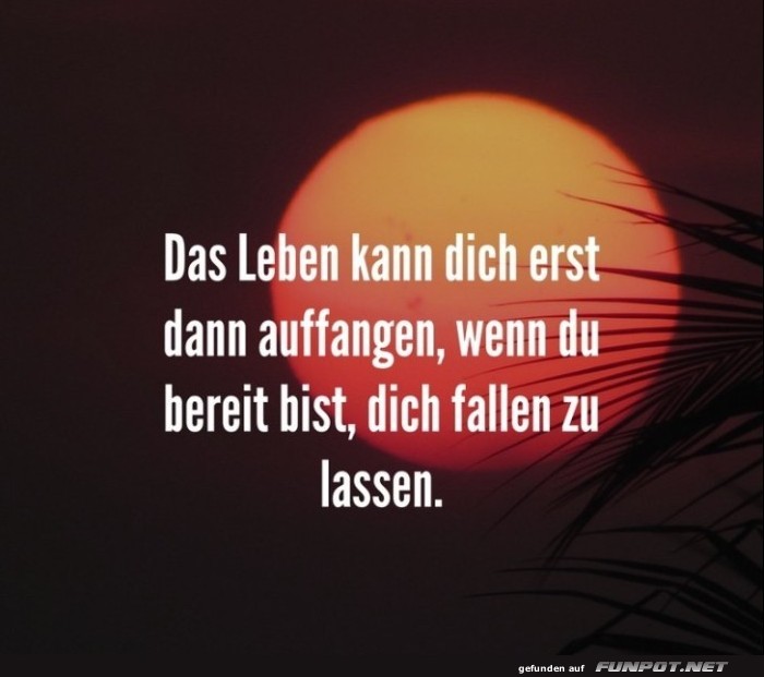 10 schne Sprche und Lebensweisheiten aus...