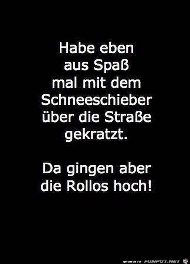 Schneeschieber Schneeschieber