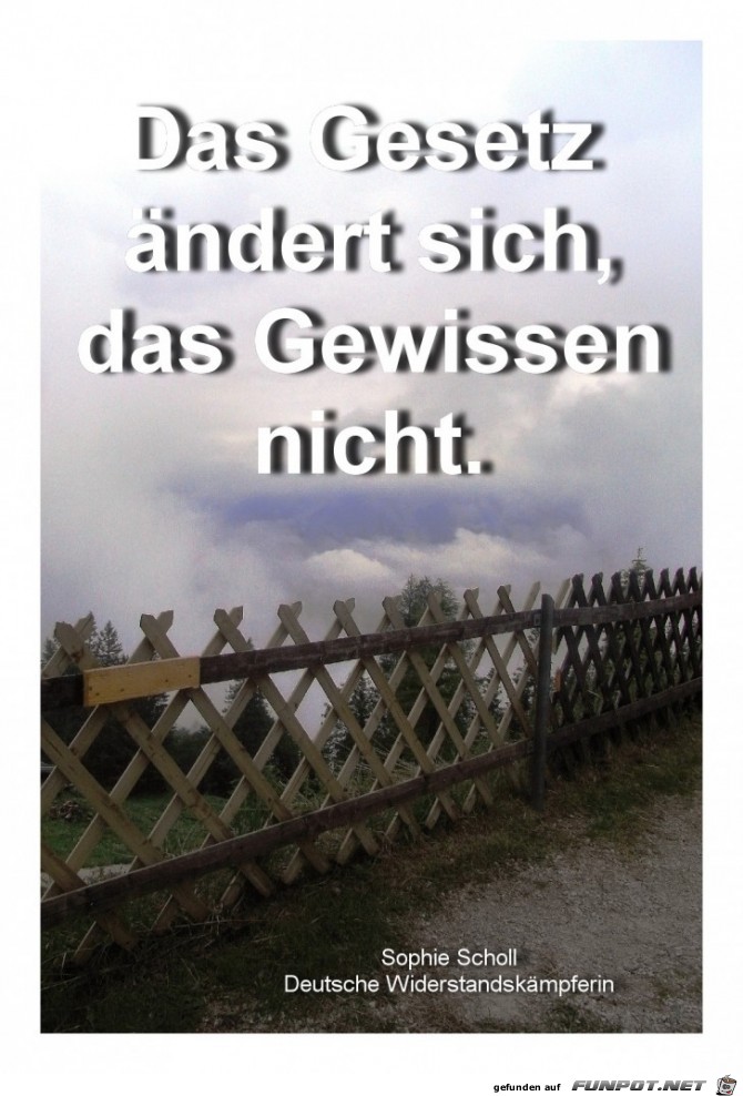 Das Gesetz Das Gesetz