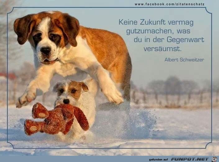 keine zukunft vermag keine zukunft vermag