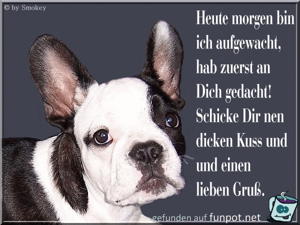 morgenschmokey morgenschmokey